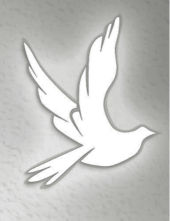 Lynda A. Johnson Obituary